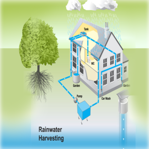 RAIN WATER HARVESTING